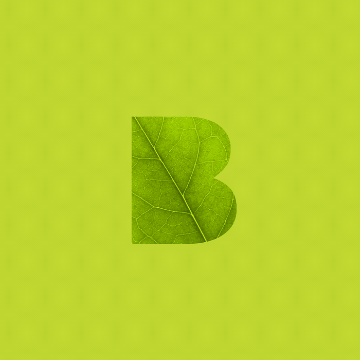 Animated Logo Design for Beaumondes